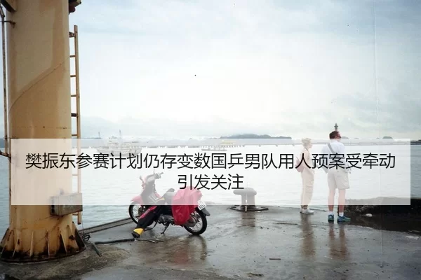 樊振东参赛计划仍存变数国乒男队用人预案受牵动引发关注