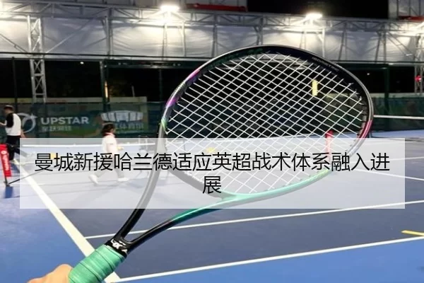 man-cheng-xin-yuan-ha-lan-de-shi-ying-ying-chao-zhan-shu-ti-xi-rong-ru-jin-zhan-2-300.jpg