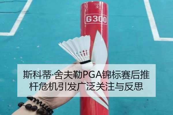 si-ke-di-she-fu-lei-jin-biao-sai-hou-tui-gan-wei-ji-yin-fa-guang-fan-guan-zhu-yu-fan-si-3-816.jpg