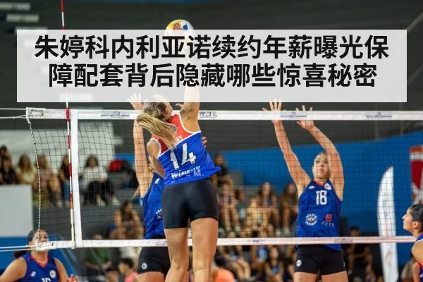 volleyball match action